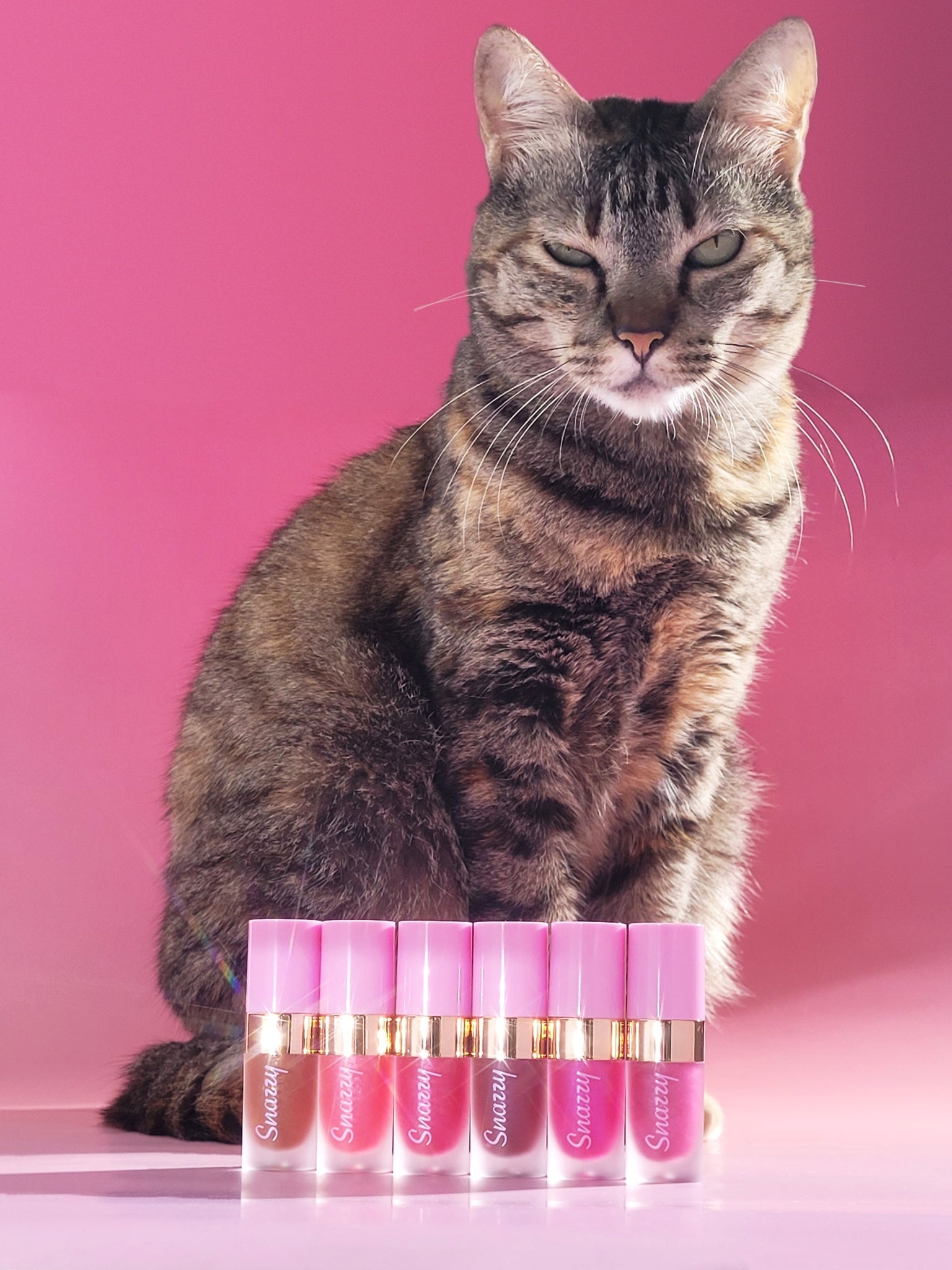 Snazzy Cosmetics Baby the Cat